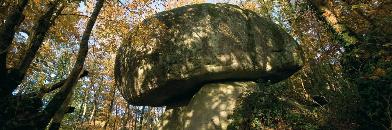 Chambre D'Hotes De La Roche Tremblante 우엘고아 외부 사진
